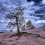 Infrared HDR 8 July 2012 Colorado Springs by Brokentaco amount of loss photo