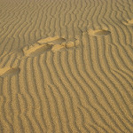 sand 105 by felizfeliz sand photo